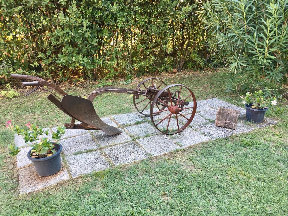 Societa Agricola Le More Agriturismo La Dondina Budrio  Εξωτερικό φωτογραφία