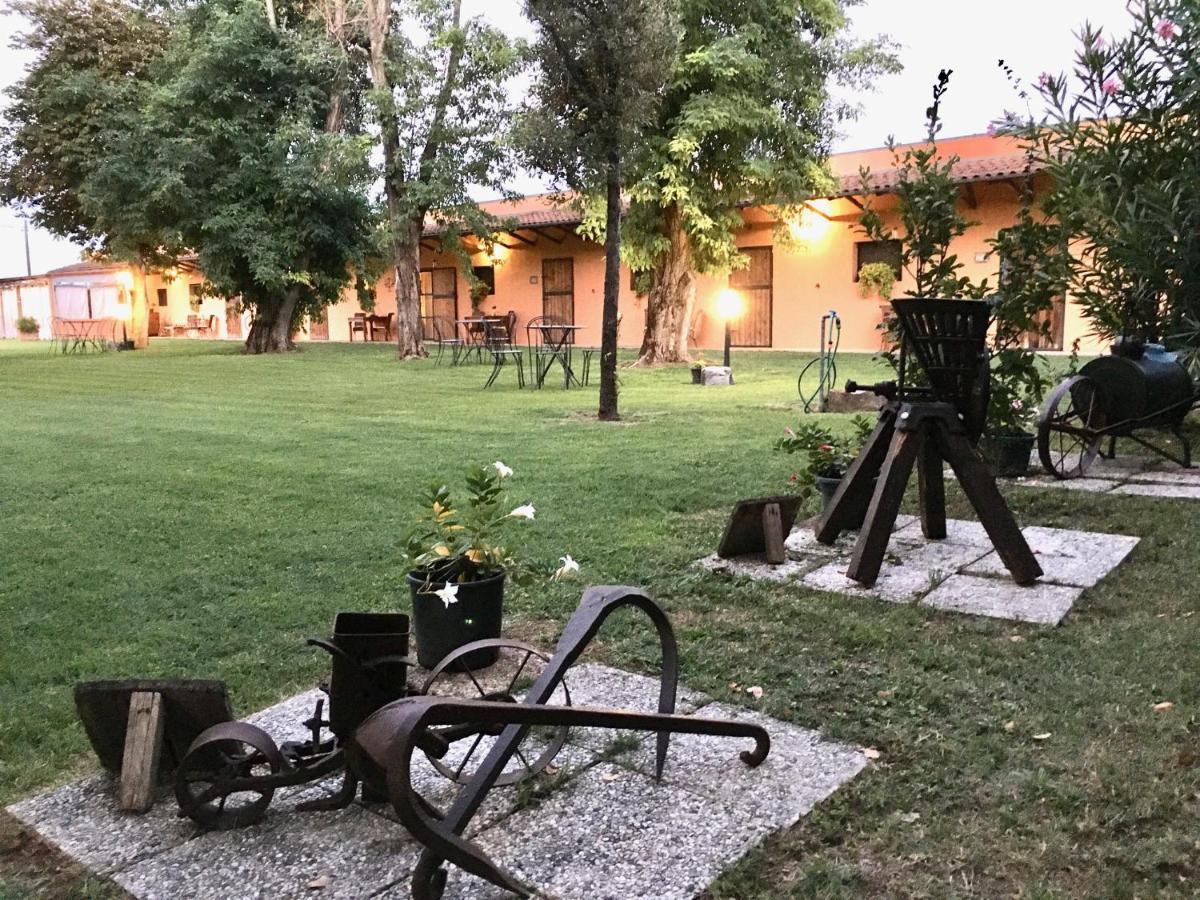 Societa Agricola Le More Agriturismo La Dondina Budrio  Εξωτερικό φωτογραφία