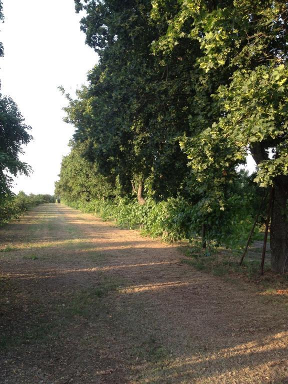 Societa Agricola Le More Agriturismo La Dondina Budrio  Εξωτερικό φωτογραφία